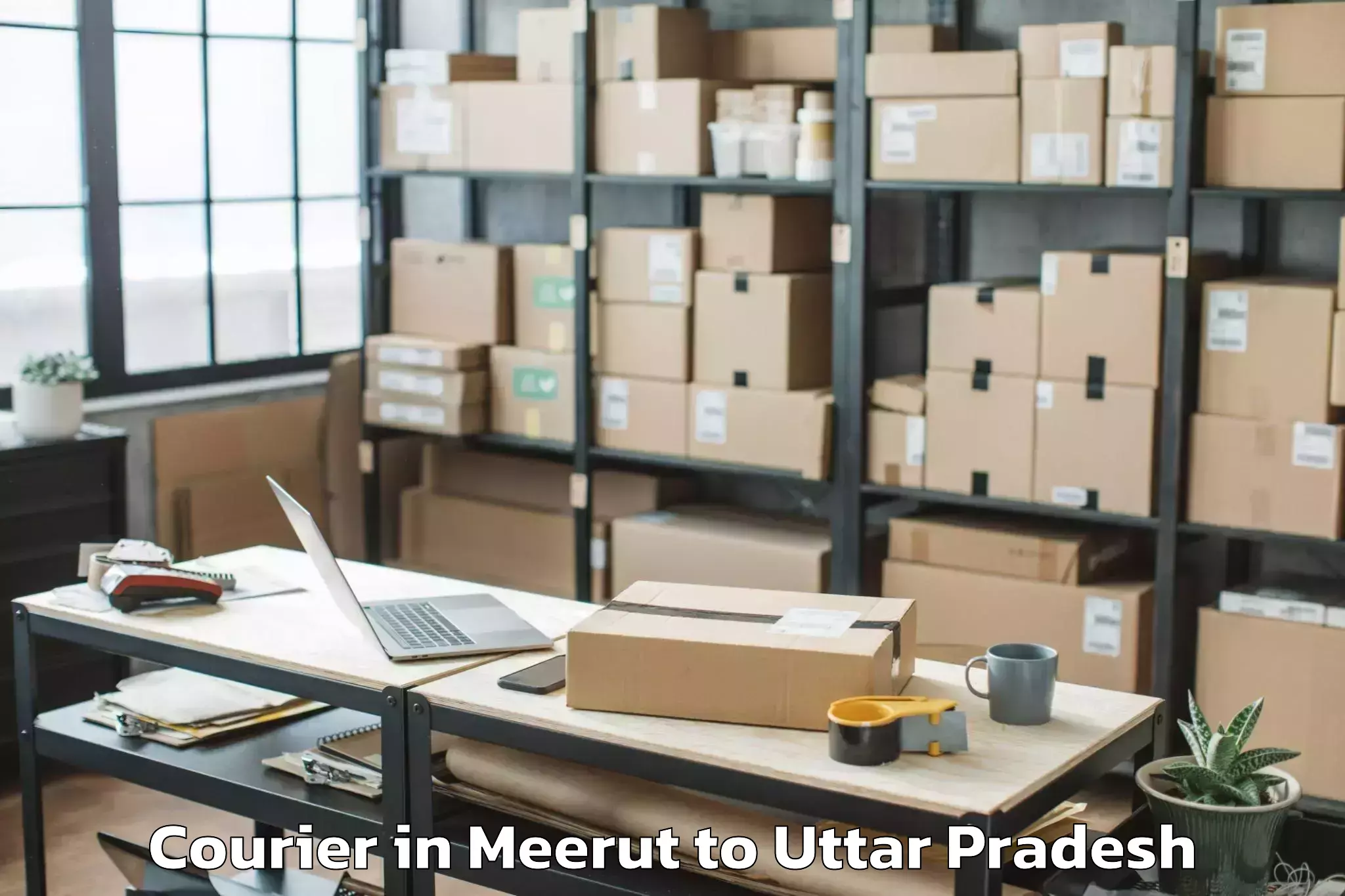 Book Meerut to Bilthra Courier